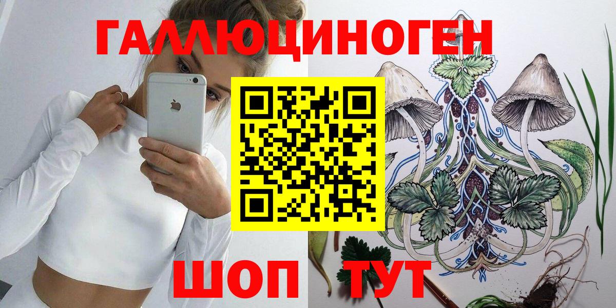 Галлюциногенные грибы Psilocybine cubensis  Вход с VPN  Канаш 